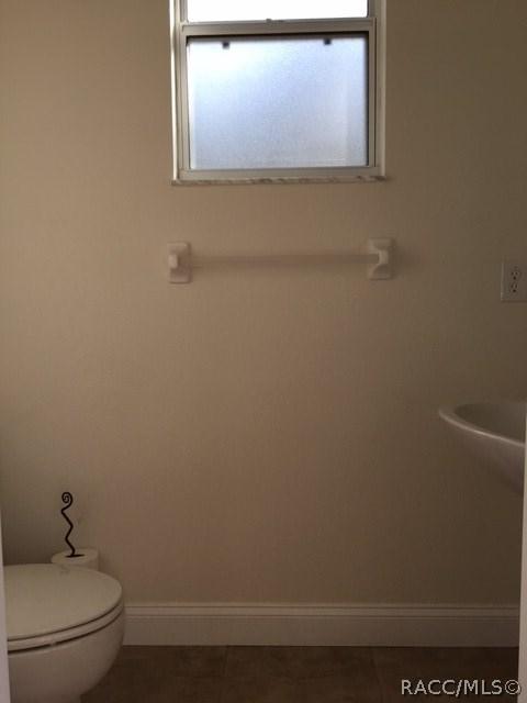 115 N Pickett Ter, Hernando, FL 34442 photo 25