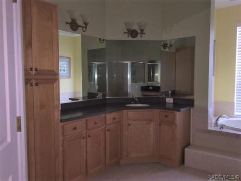 115 N Pickett Ter, Hernando, FL 34442 photo 14