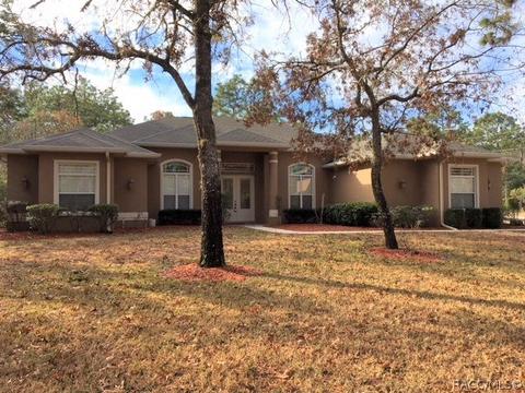 115 N Pickett Ter, Hernando, FL 34442 photo 29