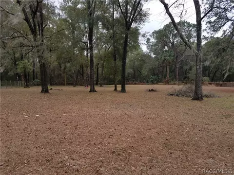 2852 E Timberwood Ct, Hernando, FL 34442 photo 25
