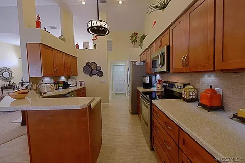 3643 E Cove Park Trl, Hernando, FL 34442 photo 16