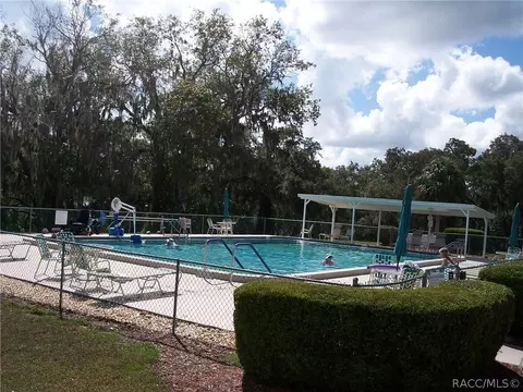 3643 E Cove Park Trl, Hernando, FL 34442 photo 43
