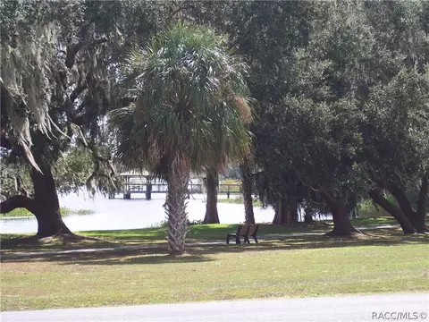 3643 E Cove Park Trl, Hernando, FL 34442 photo 37