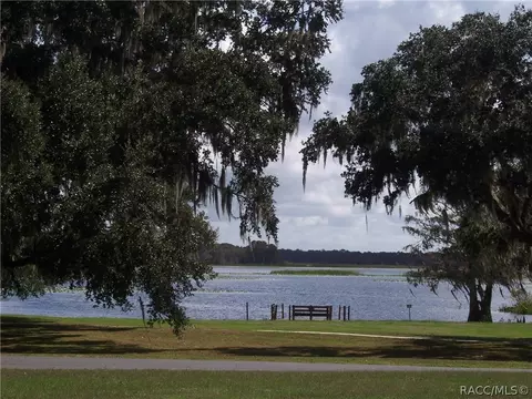 3643 E Cove Park Trl, Hernando, FL 34442 photo 36