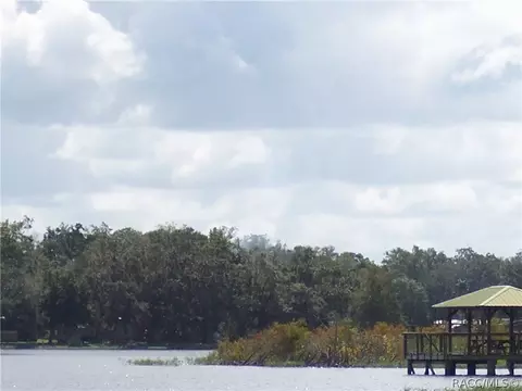3643 E Cove Park Trl, Hernando, FL 34442 photo 40