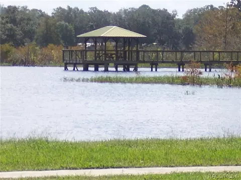 3643 E Cove Park Trl, Hernando, FL 34442 photo 38