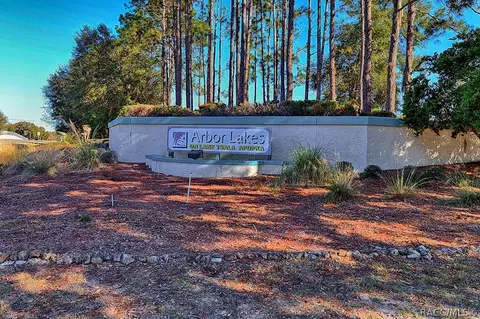 3643 E Cove Park Trl, Hernando, FL 34442 photo 34