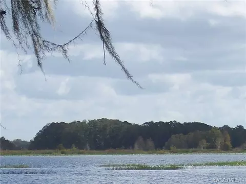 3643 E Cove Park Trl, Hernando, FL 34442 photo 39