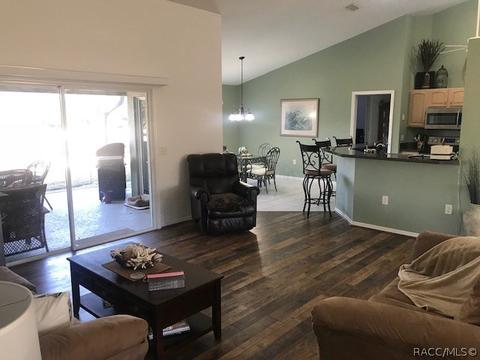 293 E Dakota Ct, Hernando, FL 34442 photo 11