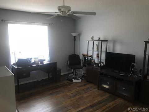 293 E Dakota Ct, Hernando, FL 34442 photo 24