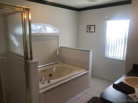 293 E Dakota Ct, Hernando, FL 34442 photo 20