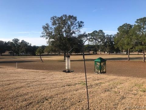 293 E Dakota Ct, Hernando, FL 34442 photo 33