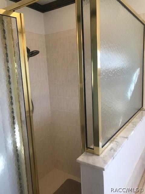 293 E Dakota Ct, Hernando, FL 34442 photo 21