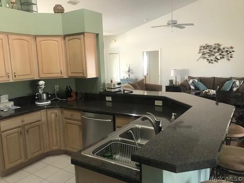 293 E Dakota Ct, Hernando, FL 34442 photo 14