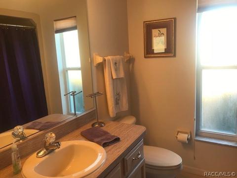 293 E Dakota Ct, Hernando, FL 34442 photo 28