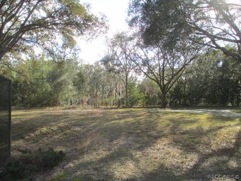 184 E Liberty St, Hernando, FL 34442 photo 19
