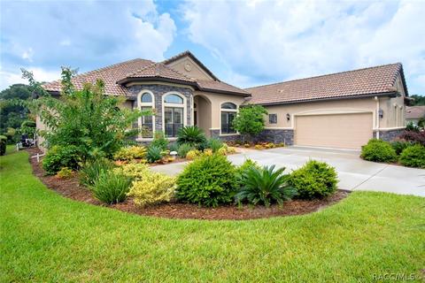 102 W Mickey Mantle Path, Hernando, FL 34442 photo 47