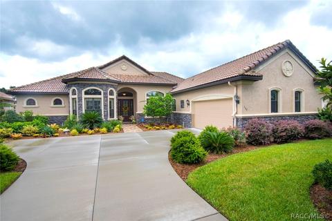 102 W Mickey Mantle Path, Hernando, FL 34442 photo 43