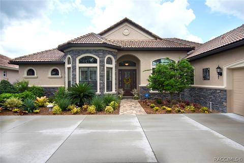 102 W Mickey Mantle Path, Hernando, FL 34442 photo 48