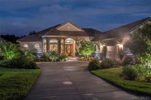 102 W Mickey Mantle Path, Hernando, FL 34442 photo 38