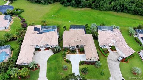 102 W Mickey Mantle Path, Hernando, FL 34442 photo 39