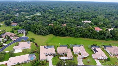 102 W Mickey Mantle Path, Hernando, FL 34442 photo 40