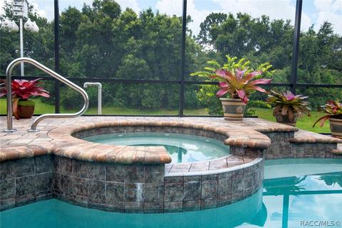 102 W Mickey Mantle Path, Hernando, FL 34442 photo 35