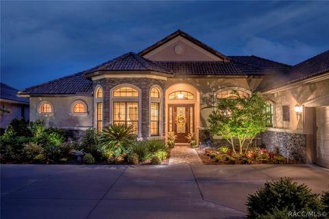 102 W Mickey Mantle Path, Hernando, FL 34442 photo 1