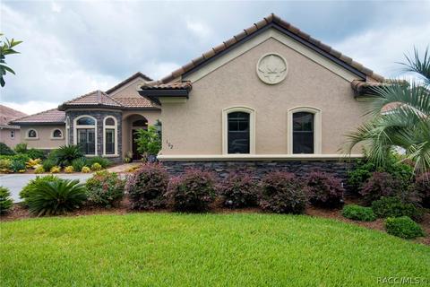 102 W Mickey Mantle Path, Hernando, FL 34442 photo 42
