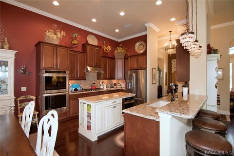102 W Mickey Mantle Path, Hernando, FL 34442 photo 3