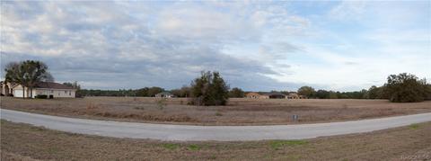 343 E Dusty Ct, Hernando, FL 34442 photo 3