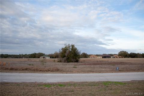 343 E Dusty Ct, Hernando, FL 34442 photo 2