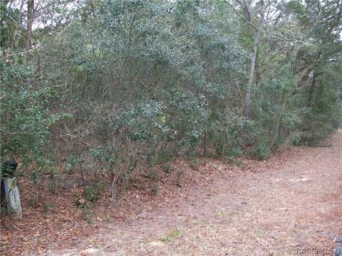 1870 E Bismark St, Hernando, FL 34442 photo 6