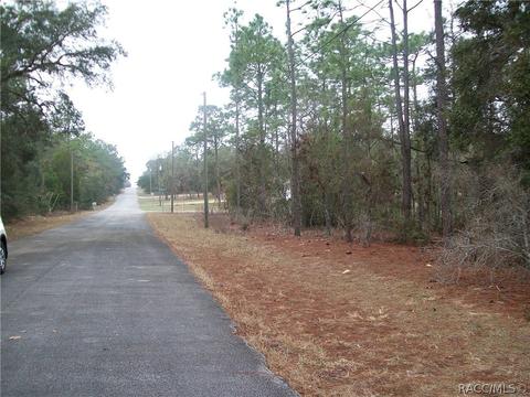 1870 E Bismark St, Hernando, FL 34442 photo 5