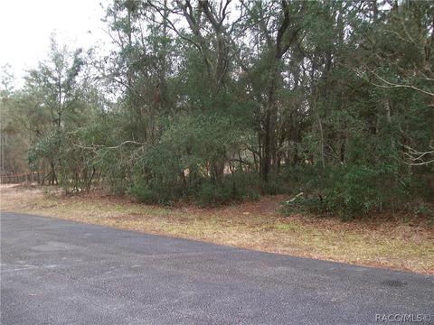 1870 E Bismark St, Hernando, FL 34442 photo 3