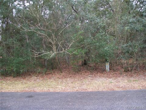 1870 E Bismark St, Hernando, FL 34442 photo 2