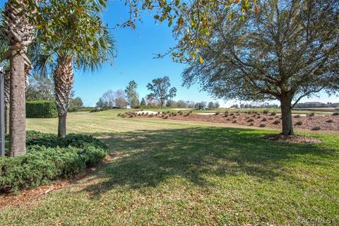 1520 W Westford Path, Hernando, FL 34442 photo 43