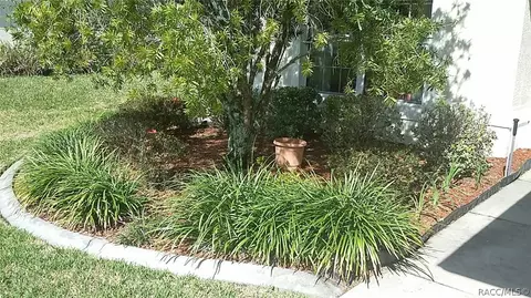 3657 Egret Cove Ct, Hernando, FL 34442 photo 5