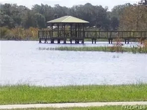 3728 E Arbor Lakes Dr, Hernando, FL 34442 photo 26