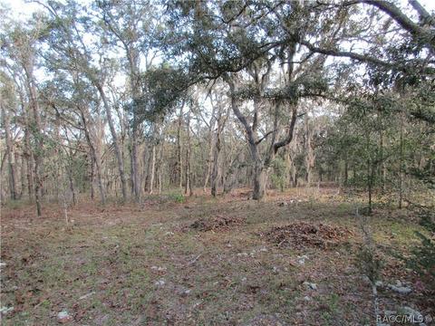 331 W Liberty St, Hernando, FL 34442 photo 1