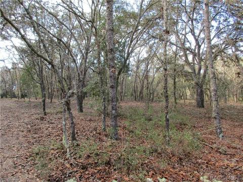 331 W Liberty St, Hernando, FL 34442 photo 6