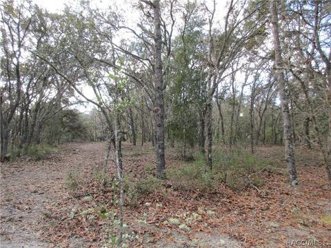 331 W Liberty St, Hernando, FL 34442 photo 7