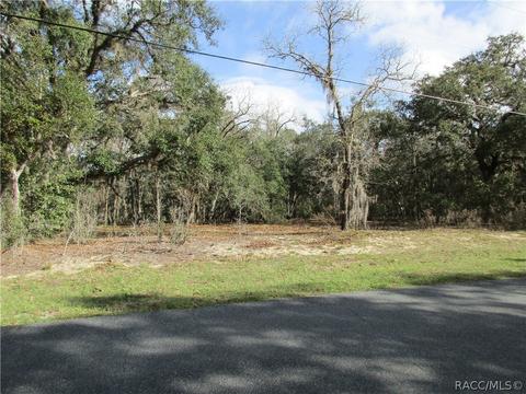 331 W Liberty St, Hernando, FL 34442 photo 9