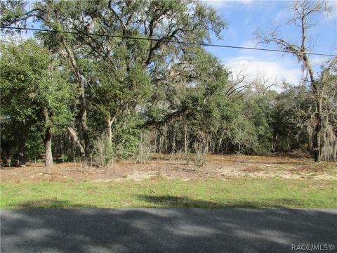 331 W Liberty St, Hernando, FL 34442 photo 8