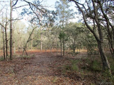331 W Liberty St, Hernando, FL 34442 photo 4