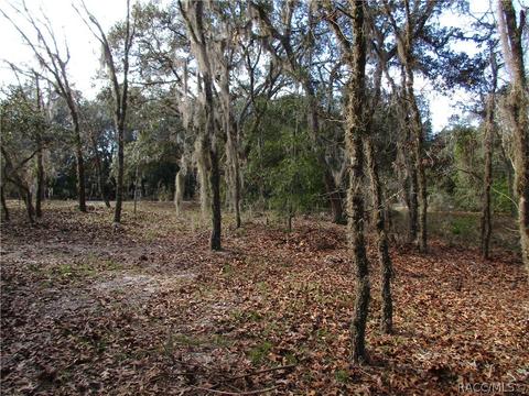 331 W Liberty St, Hernando, FL 34442 photo 2
