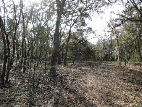 331 W Liberty St, Hernando, FL 34442 photo 3