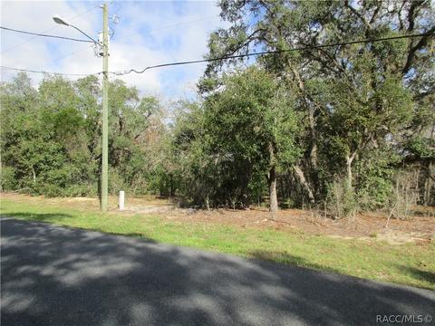 331 W Liberty St, Hernando, FL 34442 photo 10