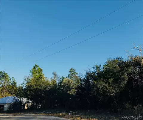 2590 W Bravura Dr, Citrus Springs, FL 34433
