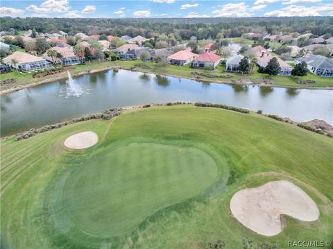 1077 W Skyview Landings Dr, Hernando, FL 34442 photo 36